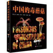 <b>10年至2022年我国发生正在家庭的食源性疾病事务</b>