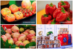 联动全国县域分享区域利好政策、发布优良合做